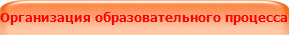 Организация образовательного процесса